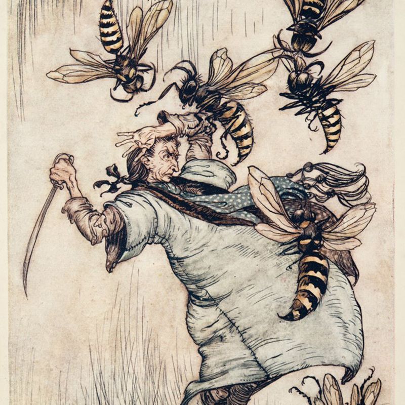 Illustration de Gulliver luttant contre des guêpes. 