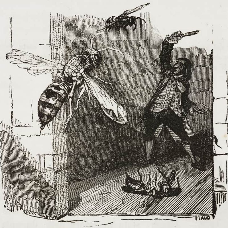 La même scène illustrée par Grandville, 1838.
