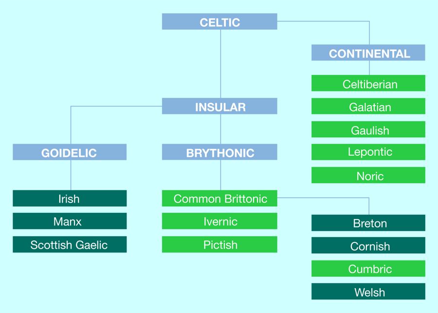 Arbre généalogique des langues celtiques